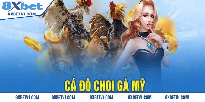 Hình thức chế độ cá cược chiến kê Mỹ